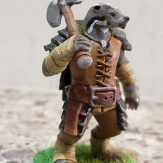 Picture of print of Badger Warrior