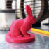 Rabbit print image