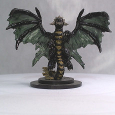 Picture of print of Black Dragon Wyrmling