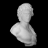 Marble portrait bust of a young man image