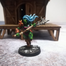 Picture of print of Orc Barbarian - D (Lady) Modular