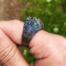 Picture of print of Oni Ring
