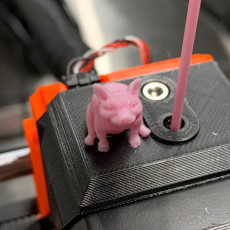 Picture of print of Piggy Sitting(Sir Pigglesfree): Single Extrusion Version