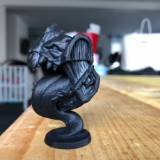 Picture of print of Mimic (Pre-Supported)