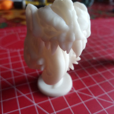 Picture of print of Mimic (Pre-Supported)