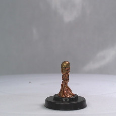 Picture of print of Flameskull (Pre-Supported)