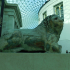 The Lion of Knidos image