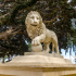 Lion in Alicante image