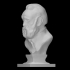 Bust of Victor Hugo image