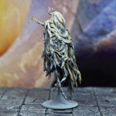 Picture of print of Wraith - Tabletop Miniature