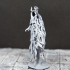 Wraith - Tabletop Miniature print image