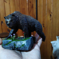 Picture of print of Grizzly 28mm