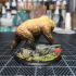 Grizzly 28mm image
