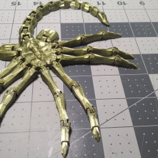 Picture of print of Flexi-Facehugger