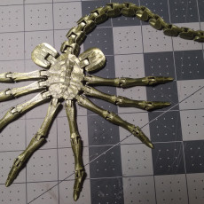 Picture of print of Flexi-Facehugger This print has been uploaded by Shawn
