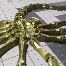 Picture of print of Flexi-Facehugger This print has been uploaded by Shawn