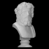 Bust of Dionysus image
