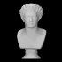 Bust of Domitian image