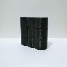 Picture of print of 120 Film Cases - 5x and 3x Versions