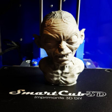 Picture of print of Golum bust, from Lord Of The Rings This print has been uploaded by DRUEZ Thierry