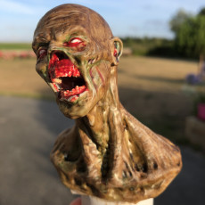 Picture of print of Zombie Bust
