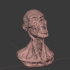 Zombie Bust image