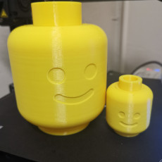 Picture of print of Lego Head Container