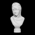 Female bust with a veil image