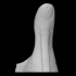 Pollex (Thumb) image