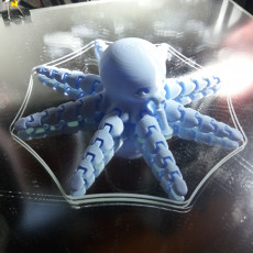 Picture of print of Cute Mini Octopus This print has been uploaded by dufilon