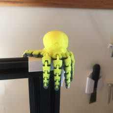 Picture of print of Cute Mini Octopus This print has been uploaded by Emrah Çapkın