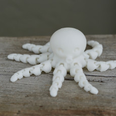 Picture of print of Cute Mini Octopus This print has been uploaded by Philippe Barreaud