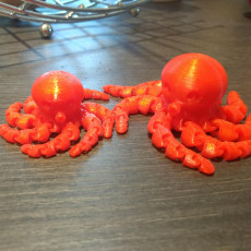 Picture of print of Cute Mini Octopus This print has been uploaded by Björn
