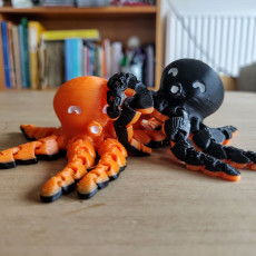 Picture of print of Cute Mini Octopus This print has been uploaded by Bruno Tardaguila