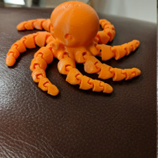 Picture of print of Cute Mini Octopus This print has been uploaded by Jacob Snover