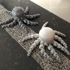 Picture of print of Cute Mini Octopus This print has been uploaded by Nicolas Belin