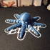 Cute Mini Octopus image