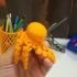 Cute Mini Octopus print image