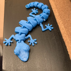 Picture of print of Articulated Lizard This print has been uploaded by Lauren Harrington
