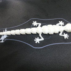 Picture of print of Articulated Lizard