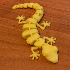 Picture of print of Articulated Lizard This print has been uploaded by Nikita