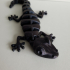 Articulated Lizard print image