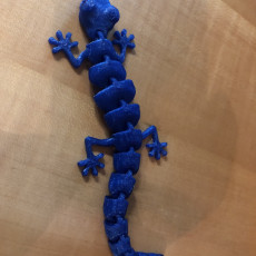 Picture of print of Articulated Lizard v2 Multimaterial Remix