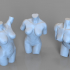 3 female bodies image