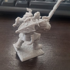 Picture of print of DnD miniature