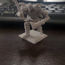 Picture of print of DnD miniature