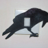 Raven light switch cover image