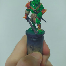 Picture of print of Goblin - Tabletop Miniature