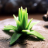 Tabletop plant: Agave image