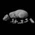 Molly the Monstrous Mole-Rat Tabletop Miniature (01) image